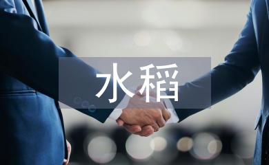 水稻栽培技術(shù)與管理