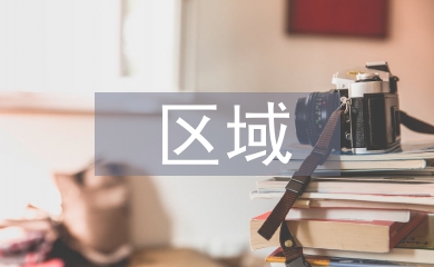 區(qū)域產(chǎn)業(yè)鏈分析