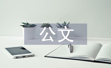 公文人才工作計(jì)劃