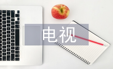 電視論文