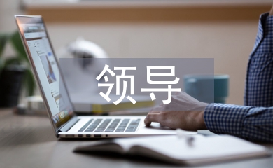 電力行業(yè)領(lǐng)導(dǎo)履職報告