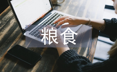 糧食依法行政工作計(jì)劃