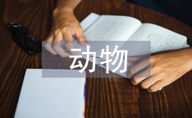 流浪動物的定義