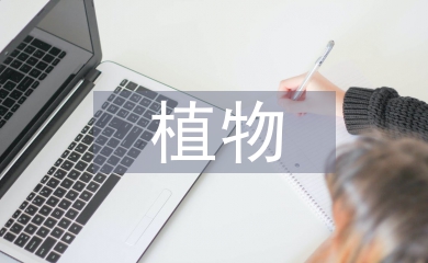 園林綠化中植物造景的應(yīng)用