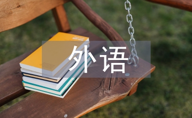 外語(yǔ)專業(yè)實(shí)習(xí)個(gè)人總結(jié)