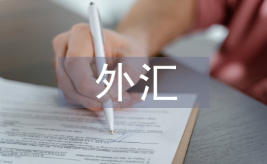 外匯投資論文