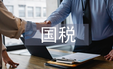 國稅申報材料