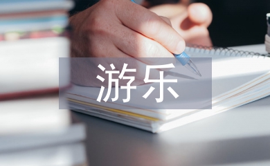 游樂實訓總結
