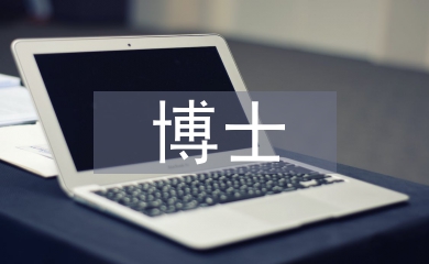 博士學(xué)歷論文