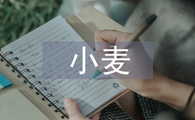 小麥主要病蟲害防治