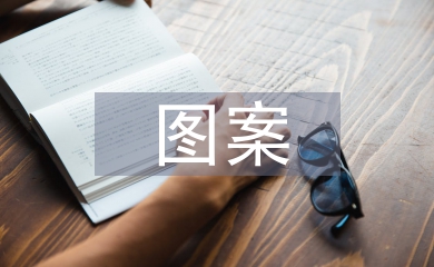圖案實訓總結(jié)