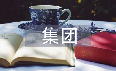 集團(tuán)醫(yī)院財(cái)務(wù)管理模式探討