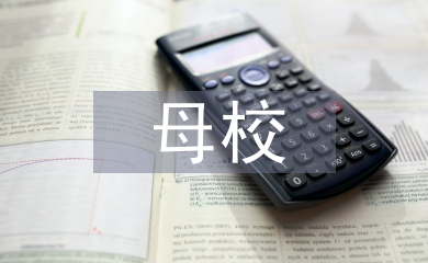 回訪母校社會實踐總結