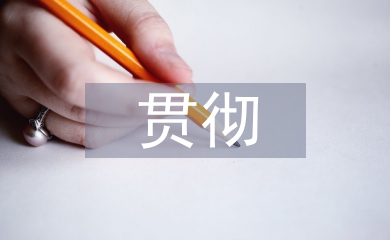貫徹落實(shí)情況報(bào)告