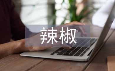 辣椒育苗技術