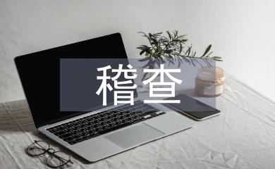 稽查經(jīng)驗交流材料