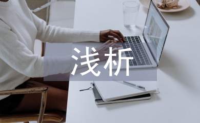 淺析政府補(bǔ)助對(duì)企業(yè)財(cái)務(wù)績(jī)效的影響