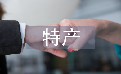 電子商務(wù)特產(chǎn)銷售系統(tǒng)技術(shù)分析