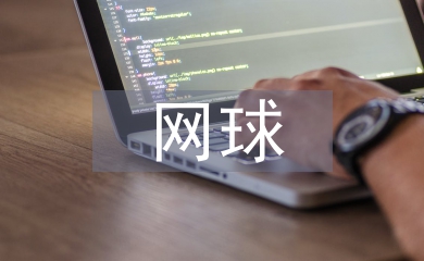 網(wǎng)球協(xié)會工作計劃