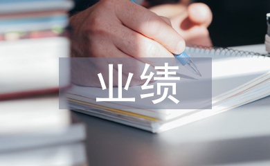 財(cái)務(wù)總監(jiān)業(yè)績總結(jié)