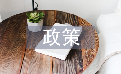民營(yíng)企業(yè)的政策