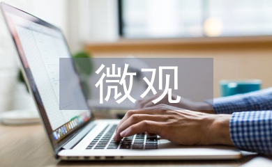 微觀經(jīng)濟學(xué)論文